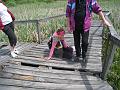 IMG_3796
